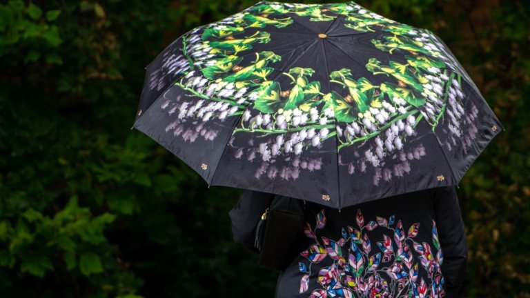 Дождливыми обещают быть ближайшие дни в Иркутской области